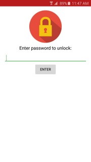 Password Option